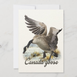 Kanada Goose, Art Inbjudningar