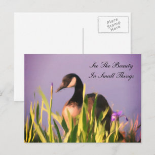 Kanada Goose Beauty Inspirational  Vykort