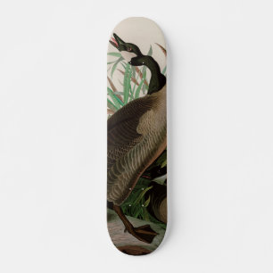 Kanada Goose Birds of America Audubon Print Mini Skateboard Bräda 18,5 Cm