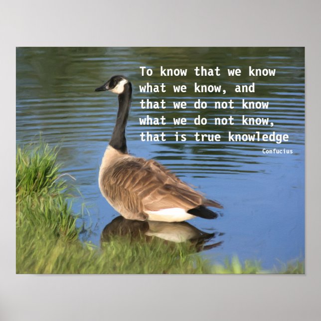 Kanada Goose Confucius Knowledge Quote Poster (Framsidan)