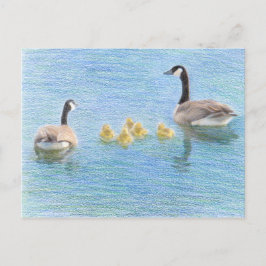 Kanada Goose Family Fine Art-vykort Vykort