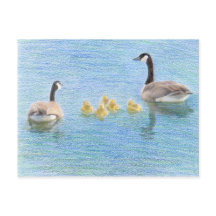 Kanada Goose Family Fine Art-vykort
