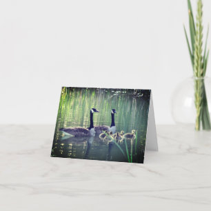 Kanada Goose Family NNote-kort Tack Kort