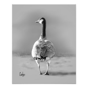 Kanada Goose Fototryck