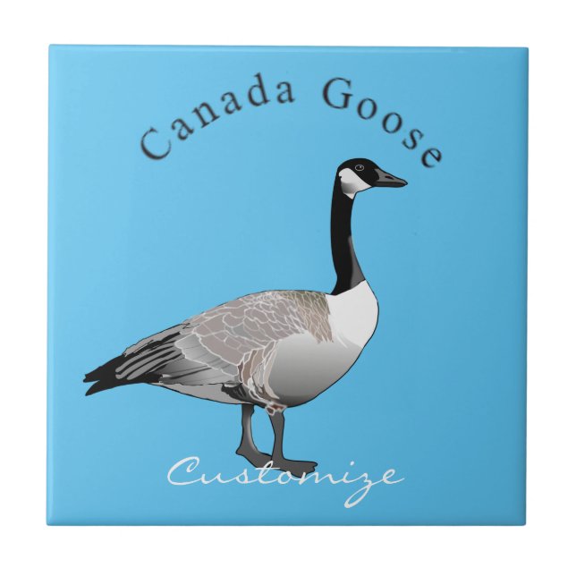 Kanada Goose Gander Thunder_Cove Kakelplatta (Framsidan)