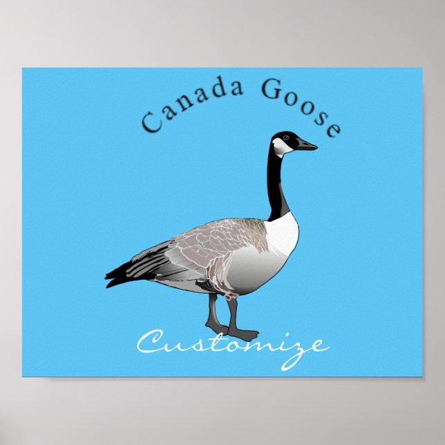 Kanada Goose Gander Thunder_Cove Poster (Framsidan)
