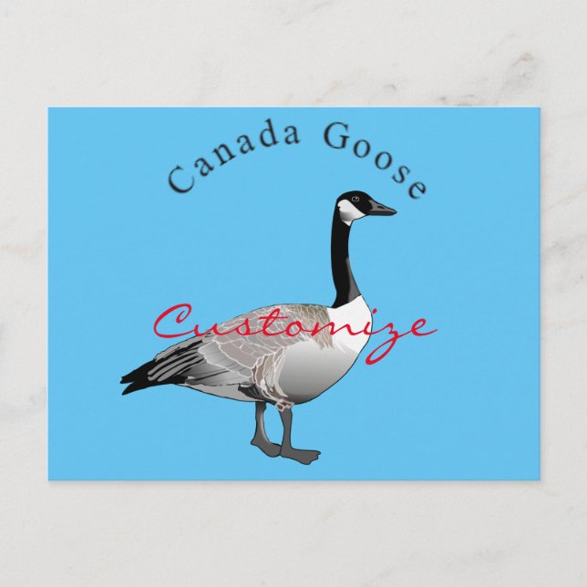 Kanada Goose Gander Thunder_Cove Vykort (Framsida)