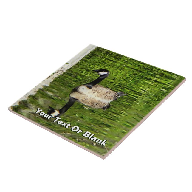 (Kanada) Goose Grönt Kakelplatta (Sidan)