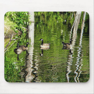 (Kanada) Goose Grönt Musmatta