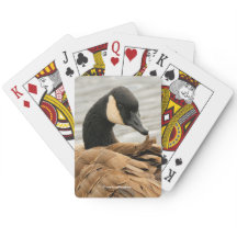 Kanada Goose Grooming på Sjö