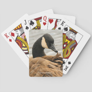 Kanada Goose Grooming på Sjö Casinokort