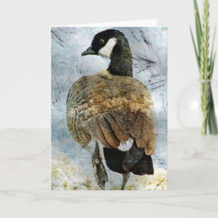 Kanada Goose Grunge Kort