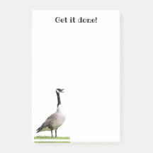 Kanada Goose Honking Notes