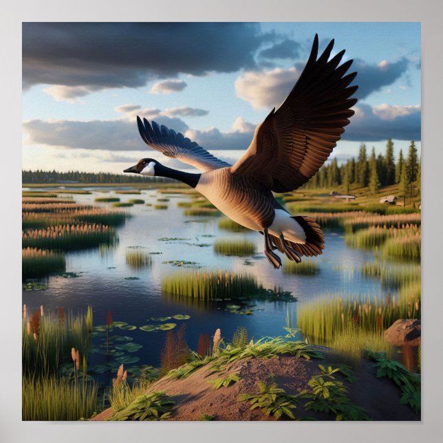 Kanada Goose i Tranquil Wetlands Poster (Framsidan)