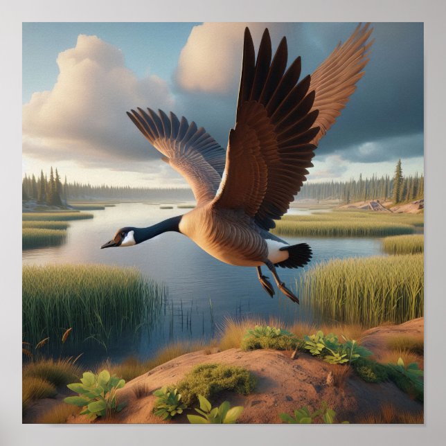 Kanada Goose i Tranquil Wetlands Poster (Framsidan)