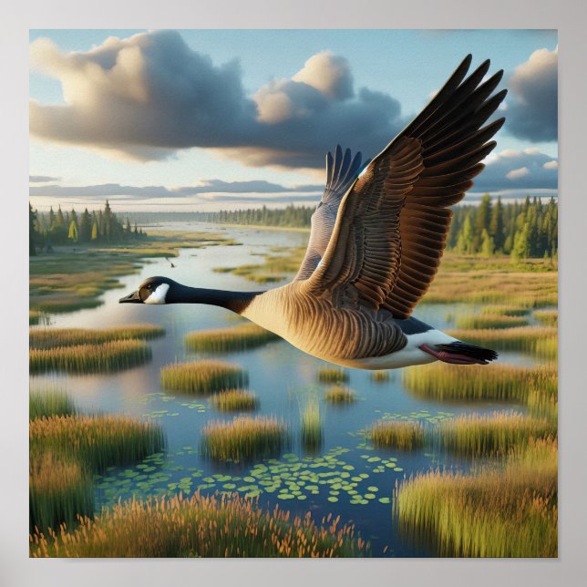 Kanada Goose i Tranquil Wetlands Poster (Framsidan)