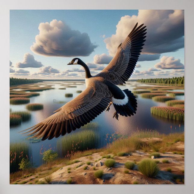 Kanada Goose i Tranquil Wetlands Poster (Framsidan)