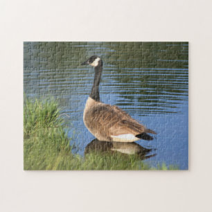 Kanada Goose i Vatten Oljemålning Pussel