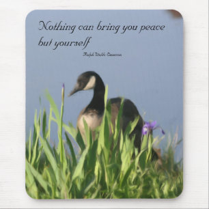 Kanada Goose Inner Peace Quote Musmatta