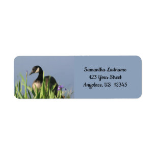 Kanada Goose Irises Animal Art Adress Returadress Etikett
