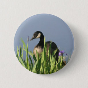 Kanada Goose Irises Animal Art Button Knapp