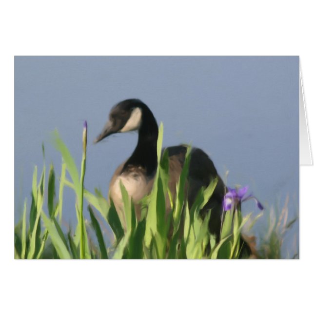 Kanada Goose Irises Animal Art Card OBS Kort (Framsidan Horizontal)
