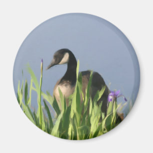 Kanada Goose Irises Animal Art Magnet