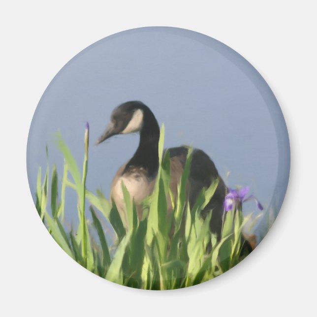 Kanada Goose Irises Animal Art Magnet (Framsidan)