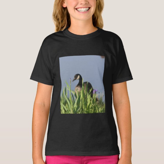 Kanada Goose Irises Animal Art Tröja (Framsida)
