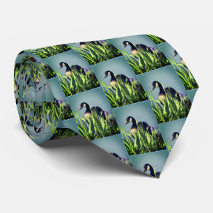Kanada Goose Irises Nature Art Blue Slips