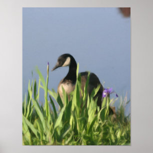 Kanada Goose Irises Nature Painting Poster