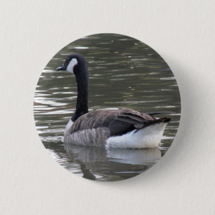 Kanada Goose-knapp Knapp