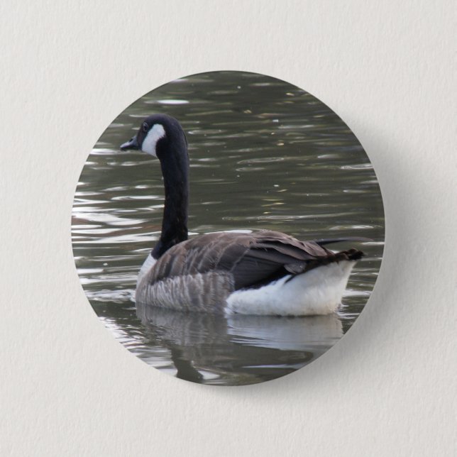 Kanada Goose-knapp Knapp (Framsida)