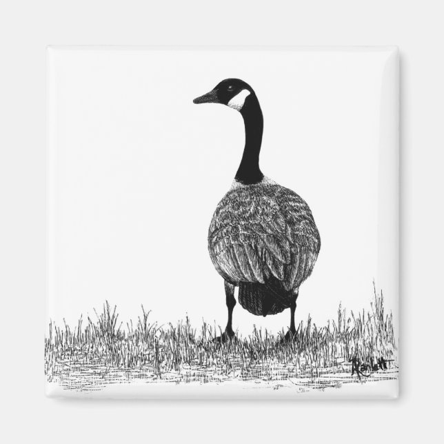 Kanada Goose Magnet (Framsidan)