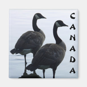 Kanada Goose Magnet Kanada Souvenir Fridge Magnets