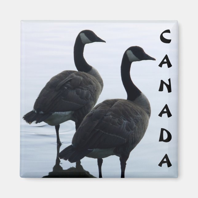 Kanada Goose Magnet Kanada Souvenir Fridge Magnets (Framsidan)