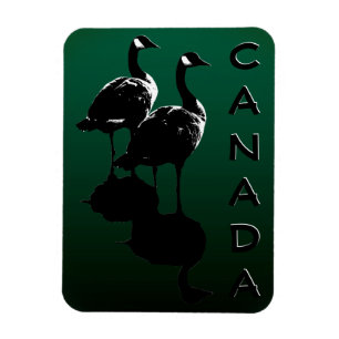 Kanada Goose Magnet Kanada Souvenir Fridge Magnets