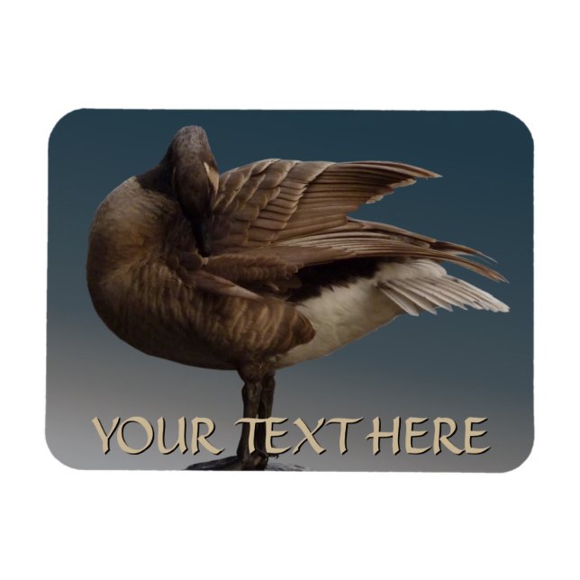 Kanada Goose Magnet Kanada Souvenir Fridge Magnets (Horisontell)