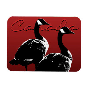 Kanada Goose Magnet Kanada Souvenir Fridge Magnets