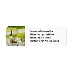 Kanada Goose - Målad vattenfärgseffekt Returadress Etikett