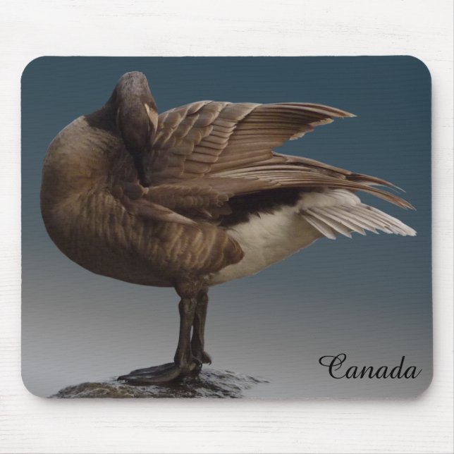 Kanada Goose Mousepad Guld Canada Goose Mus mattor Musmatta (Framsidan)