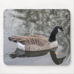 Kanada Goose Musmatta