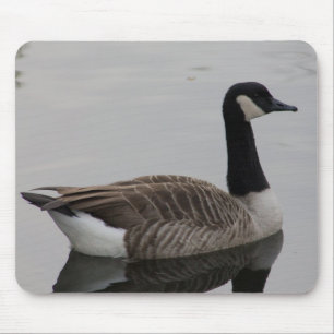 Kanada Goose Musmatta