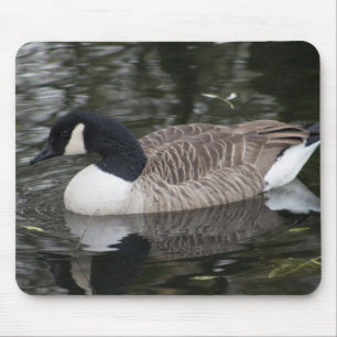 Kanada Goose Musmatta