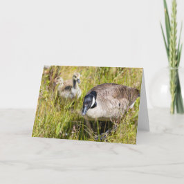 Kanada Goose Note Kort