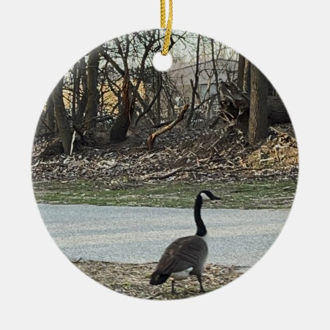 Kanada Goose Ornament (Framsidan)
