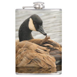 Kanada Goose på Sjö Fickplunta