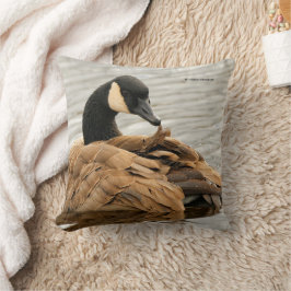 Kanada Goose på Sjö Kudde