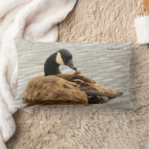 Kanada Goose på Sjö Lumbarkudde