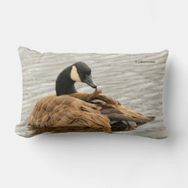 Kanada Goose på Sjö Lumbarkudde